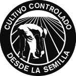 cultivo semilla