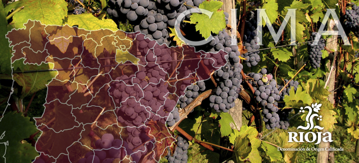 img rioja cima